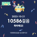 개도 사람길 | [일상] 개님 특훈과 25년 플레이오프 3차전 직관후기