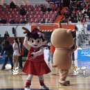 조동천 | 농구… 좋아하세요?