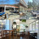 은적사입구 | 대구 봄이 기대되는 앞산 카페 새소리 애견동반가능