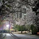 율하근린공원 이미지