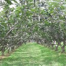 동곡농장 이미지