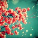 우리 늘 이미지