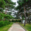 화진포 역사안보전시관 이미지