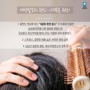 심지학원