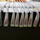 아이언피쉬 이미지