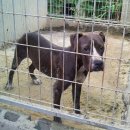 502 KENNEL 이미지