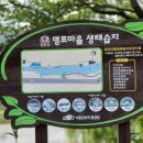 (임당2리)명포습지