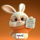 충의태권도 이미지