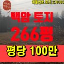 백암좋은 공인중개사사무소 이미지