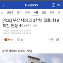 [속보] 부산 내성고 3학년 코로나19 확진 판정 이미지