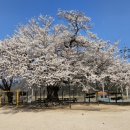 상평초등학교현서분교장 이미지