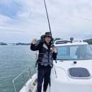 바다향기블루 이미지