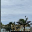 바인호텔 | [칸쿤 신혼여행] 칸쿤리조트추천! 시크릿더바인 프리퍼드 주니어스윗 오션뷰 후기 (로맨틱조식, 호텔존 뷰)