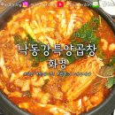 낙동강특양곱창 이미지