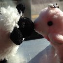 순진목장 이미지