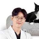 둥지(네스트) 이미지