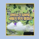 새둥지마을 | 마비노기 새둥지 찾기 퀘스트 정복기｜티르코네일부터 콜헨까지 한눈에 보는 루트