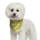 21세기동물병원 이미지