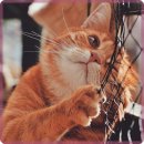 단원병원뒤 이미지