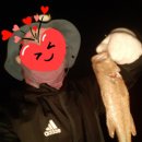 모차호텔 이미지