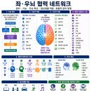 {좌ㆍ우뇌 협력 네트워크 정보} 이미지