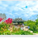 꽃이있는풍경 이미지