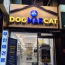 도그마캣부천중동