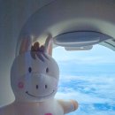 차없는거리 문화로 채우다(1차) | 오키나와 4박5일 태교여행 일정 렌트 쇼핑 기록