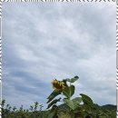 힐링타임민박 이미지