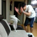 별빛하루 이미지