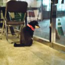 차담정2