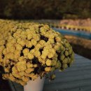 한울농장2 이미지