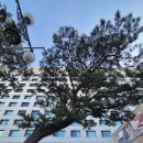 피트니스라온울산 | 울산여행 울산현대호텔 바이라한 내돈내산 만족후기