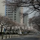 남천2동 | [부산 벚꽃놀이 명소] 부산 광안리 삼익비치타운 남천동벚꽃거리 벚꽃 3/28 개화 상황, 주차, 포토존 꿀팁