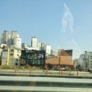 팬더애견샵 이미지