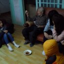 둥지해오름 Daum카페
