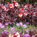 대구역광장 이미지