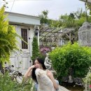 티파니&펫 이미지