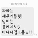 테그42 강원 양양점 네이버블로그