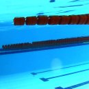 희망찬 키즈 스윔 이미지