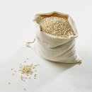 한진화학(주)노동조합 | 세계시민교육상시상식, 경사노위,복합전환의 노동시장위기와 해법국제컨퍼런스, 현미에 뼈건강효과우수...