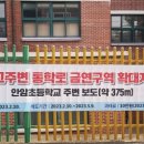 안암초등학교 이미지