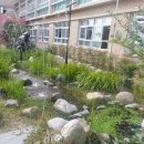 오륙도초등학교 이미지