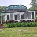 비실연꽃마을 이미지