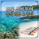 쇼어 | 보홀 쇼어 투어 스노클링 카약 액티비티 체험 후기 및 꿀팁