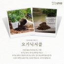 건강한목장
