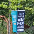 아트 온 스크린 - 춤이 말하다 | 울산 중구문화의전당 아트 온 스크린 춤이 말하다