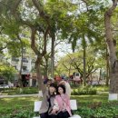 베트남 국제결혼 이미지