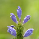 축복의집 이미지