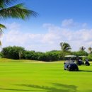 엠클럽 골프 이미지